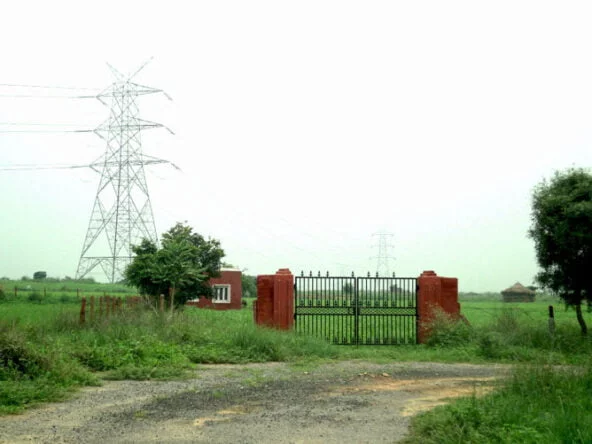 ONE Farms — gallery image 1