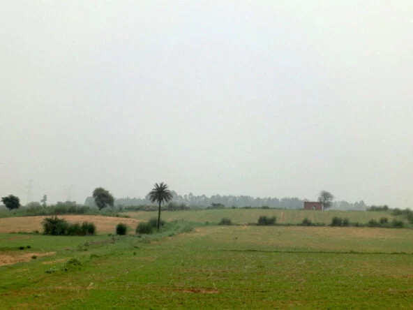 ONE Farms — gallery image 2