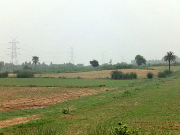 ONE Farms — gallery image 3